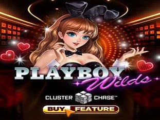 Playboy Wilds game cover